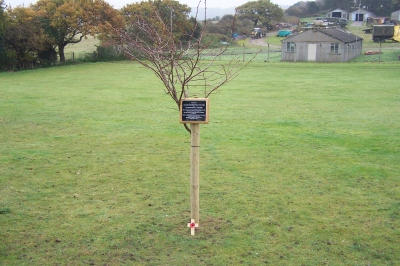 Poppy Cross laid at tree for Jean Brackenbury and Tec McMullan at Muckleborough, Weybourne